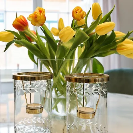 Appartement Bohnapartments Steigerwald - In Der Stadt - Vollausstattung - Wlan - Gratis Parkplaetze