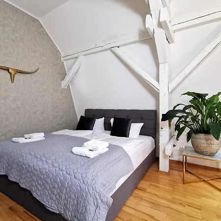 Bohnapartments Steigerwald - In Der Stadt - Vollausstattung - Wlan - Gratis Parkplaetze Erfurt